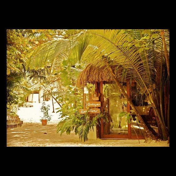 Casa Violeta Otel Tulum Dış mekan fotoğraf
