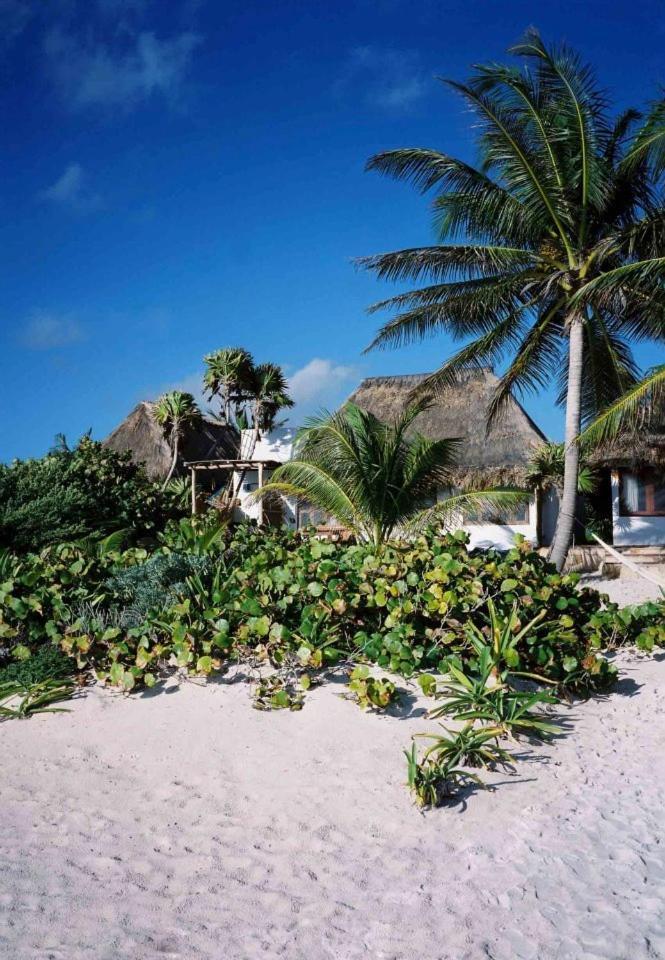 Casa Violeta Otel Tulum Dış mekan fotoğraf