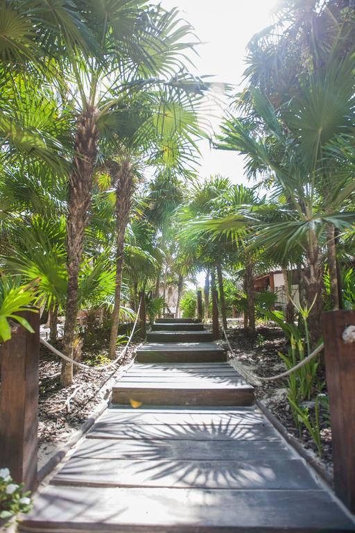 Casa Violeta Otel Tulum Dış mekan fotoğraf