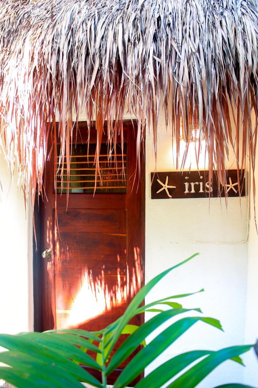 Casa Violeta Otel Tulum Dış mekan fotoğraf